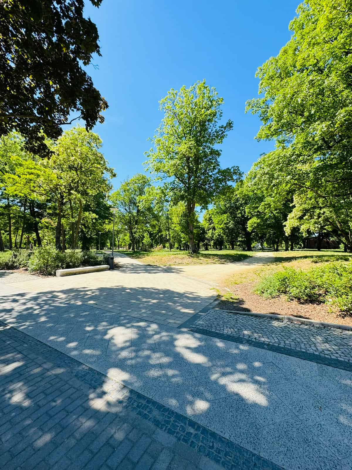 Wege durch den Clara-Zetkin-Park